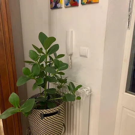 Charming In The Heart Of The Jewish District! Apartman *